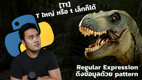 ดึง pattern ข้อมูลด้วย Regular Expression