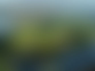 Where Grown-Ups Unwind and Kids Run Wild: A Family Weekend in Ireland