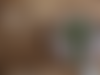 And of Course, Hope - An Ash Wednesday Reflection from Rev. Dr. Christy Newton