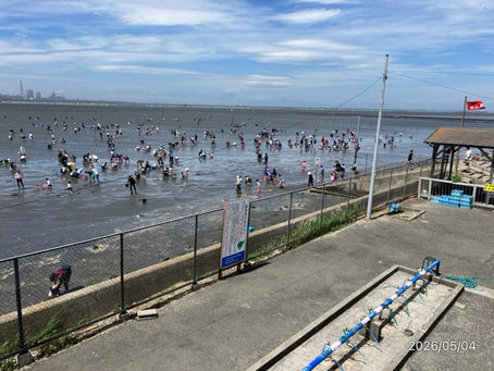 本日、潮干狩り開始しております。