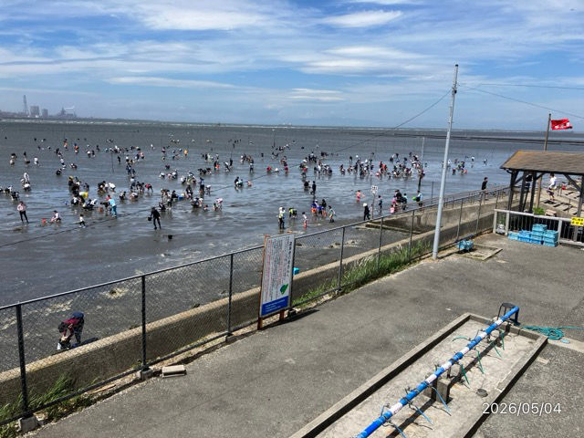 本日、潮干狩り開始しております。