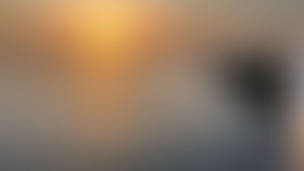 中の島大橋からの夕日！！🌇