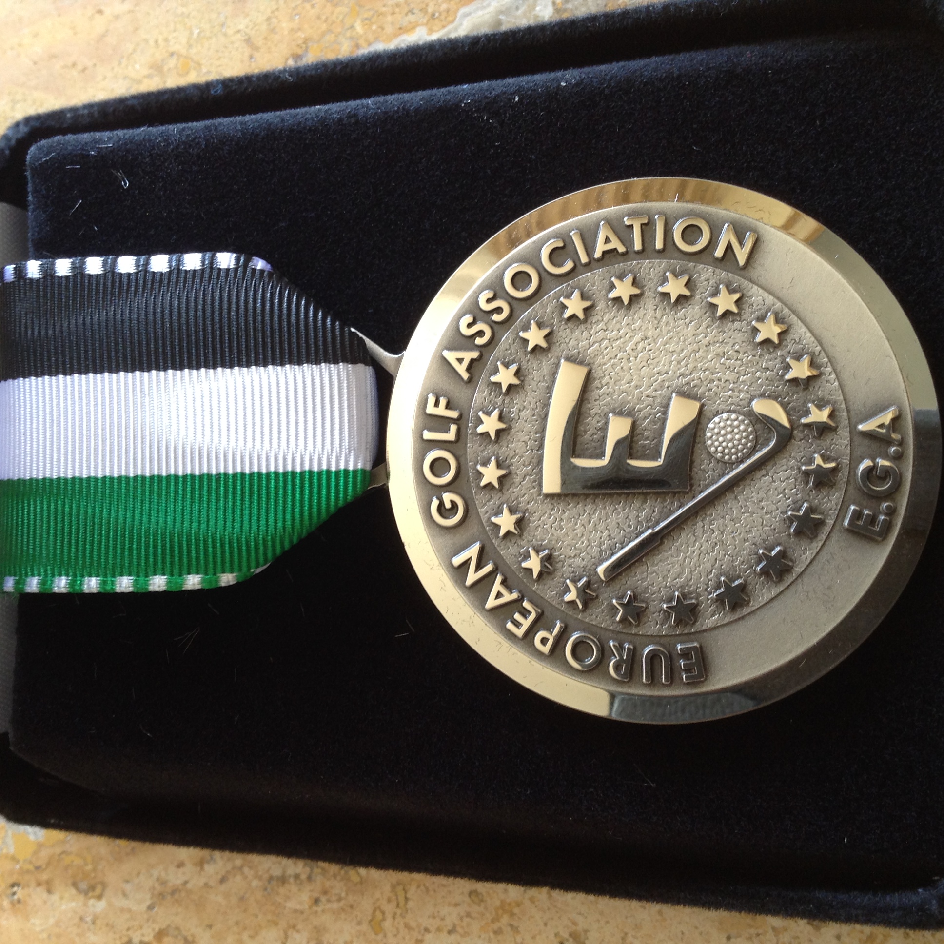 2014 European Team Championship