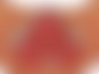 Your Pelvic Floor Muscles