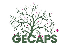 Sponsor - GECAPS_edited.jpg