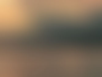 Radical Acceptance (3 )