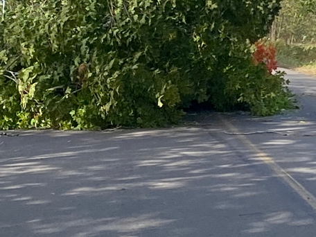 Mindset (part 3) Roadblocks to Pathways