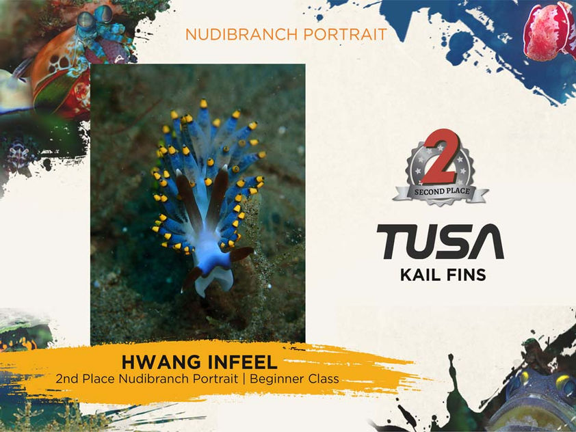 2018-BC-nudibranch-2nd.jpg