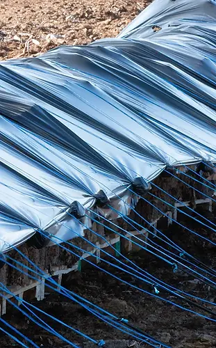 Torba acida di sfagno Sun Peat Profi Nuova Flesan