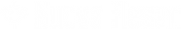 Logo NF bianco.png