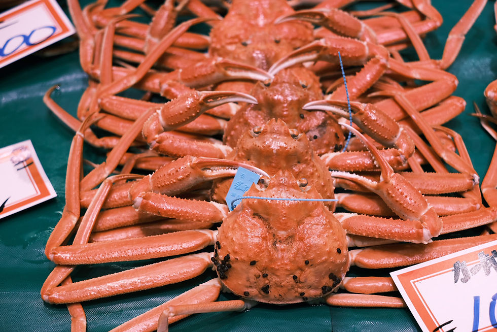 Kanazawa Geisha (Geisha) Experience