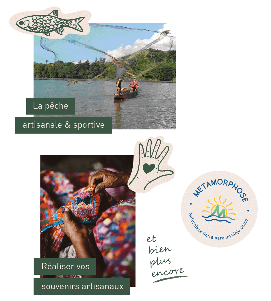 livre_édition nature bourgogne franche c