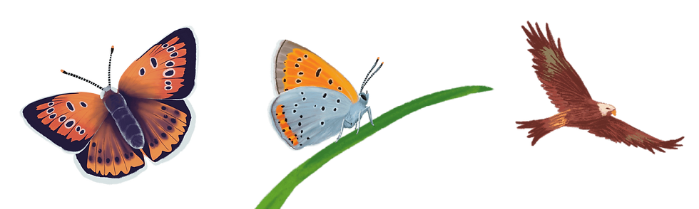 Pictos logo déclinaison 1