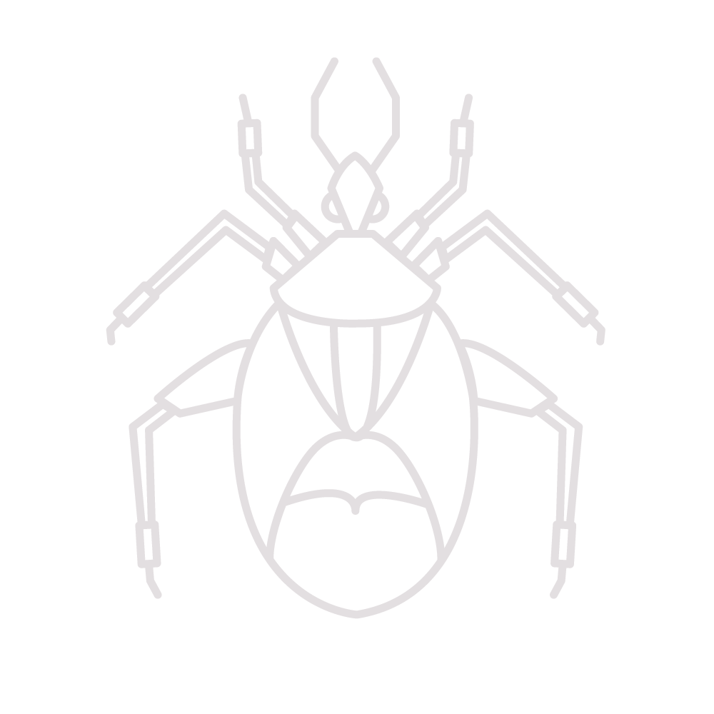 Writer: d0ntkillthespider