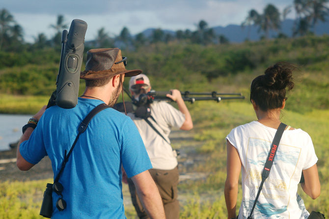 Owlets, waterbirds and other wildlife