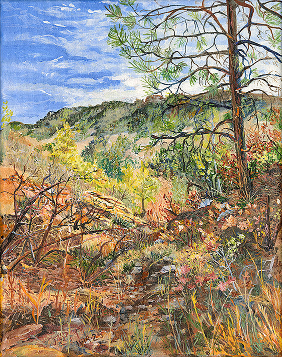 Durango Hike 18x24