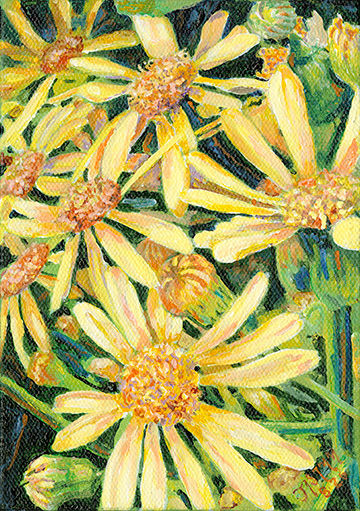Summer Song 5x7