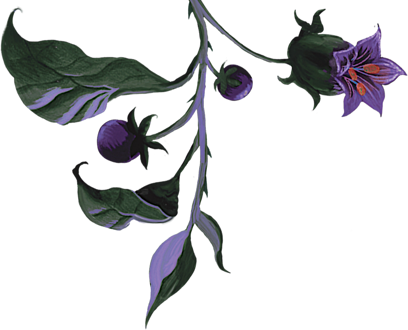 branch.png