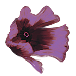 bullet.png