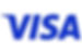 Visa (formatted color logo).jpg