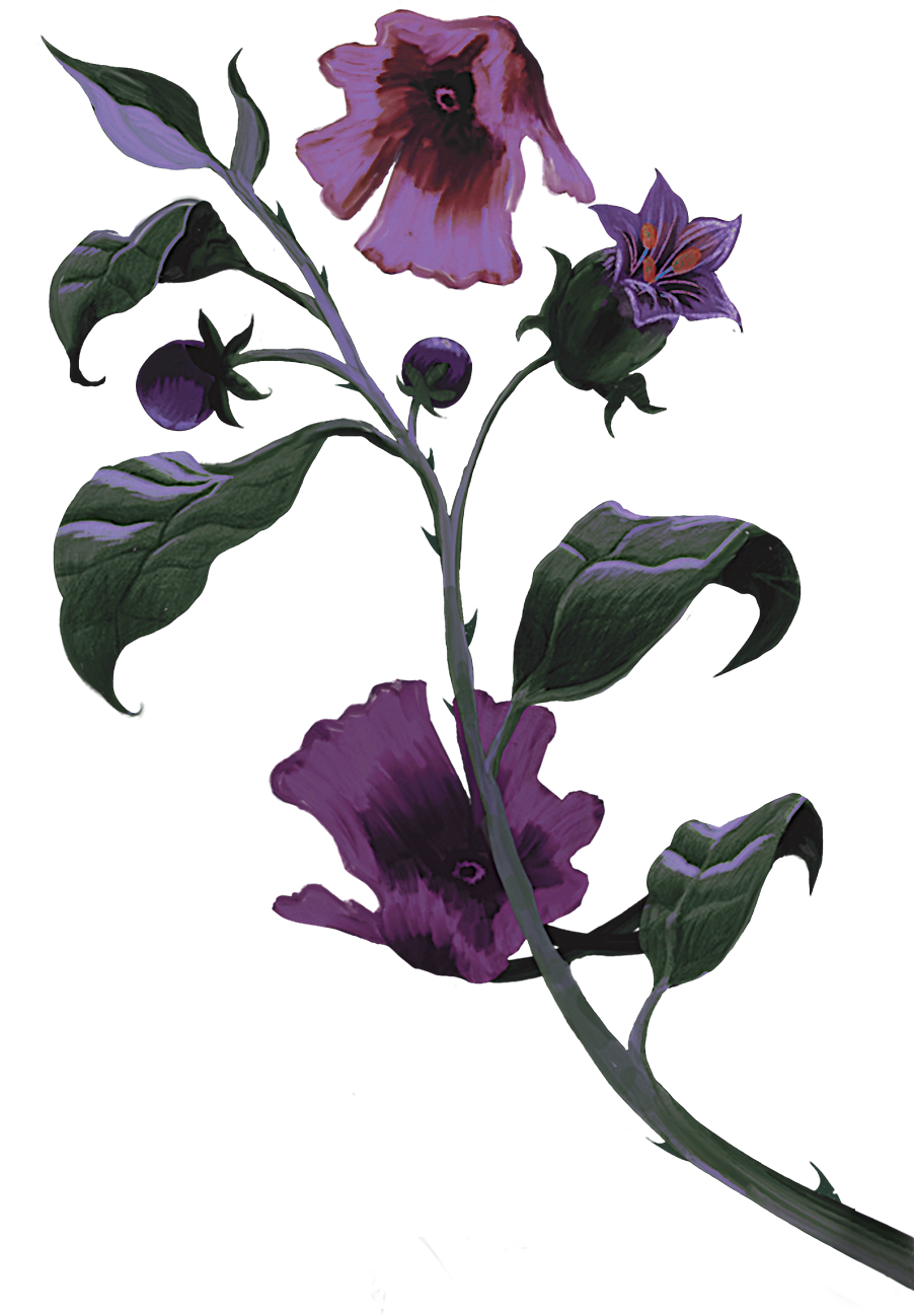flowers-right.png