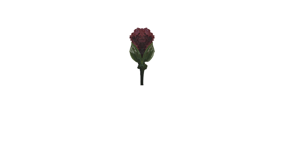 flower.png