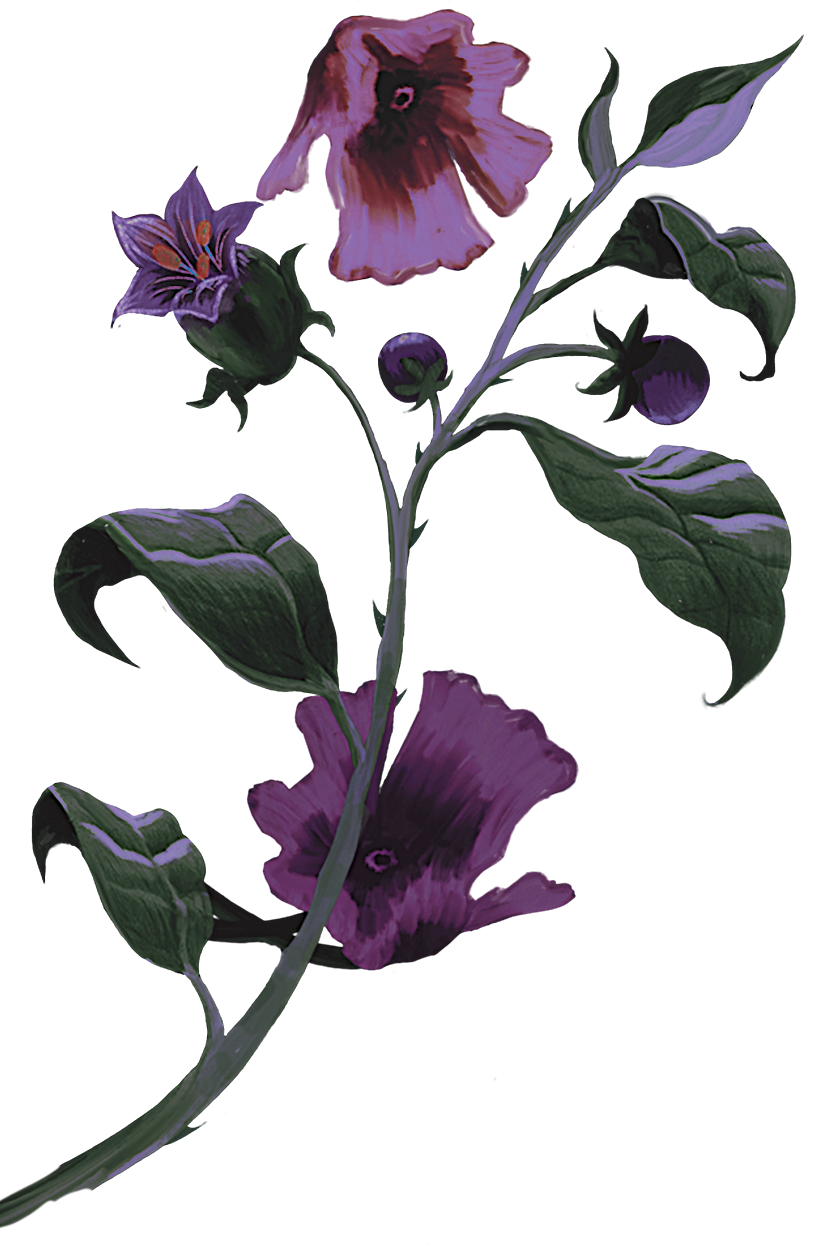 flowers-left.png