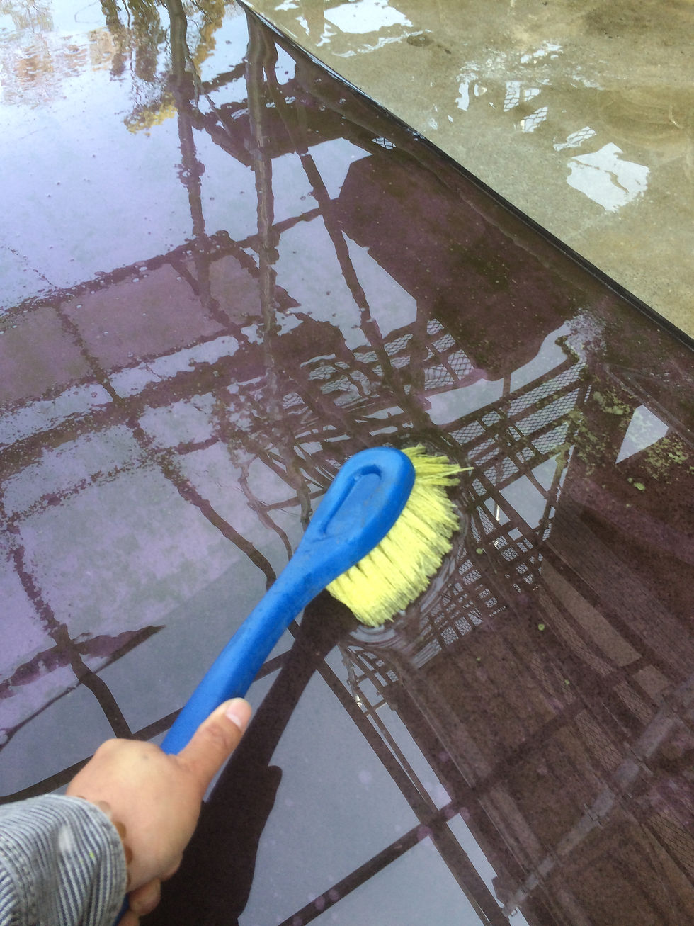 カーポートの屋根まで洗っている.jpg