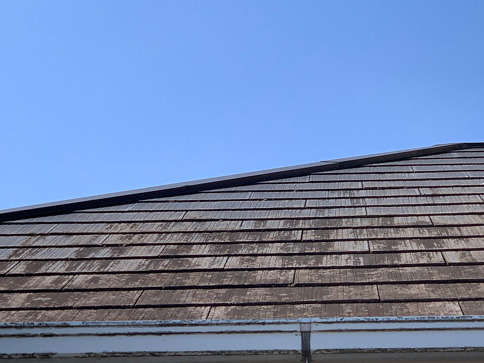 熊本県八代市上野町のコケが繁殖している屋根.jpg