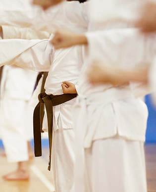 Práctica del karate