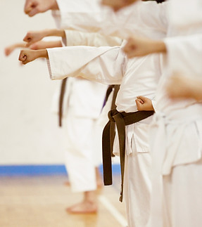 Karate Practice