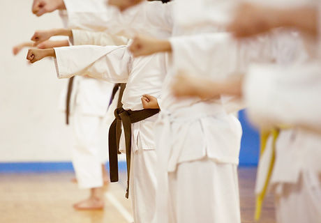 Karate Practice