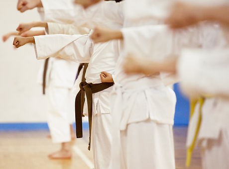 Karate Practice