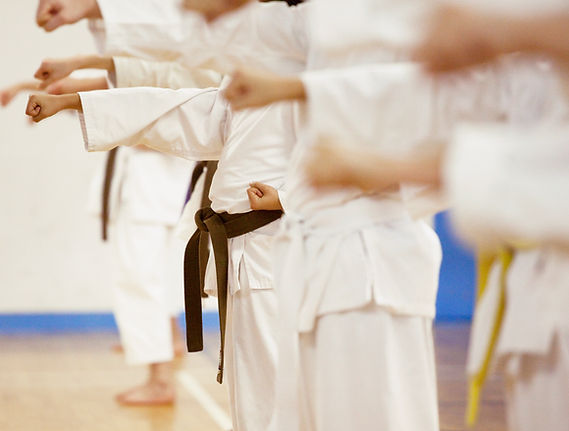 Karate Practice