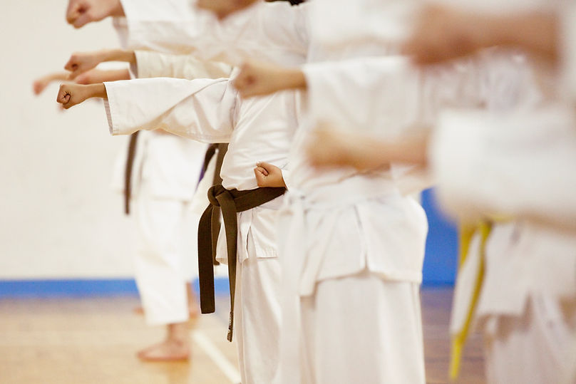 Karate Practice
