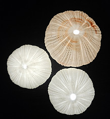 20260228_200322.jpg