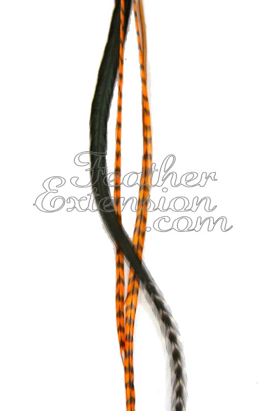 Thumbnail: Clip-In Feather Extensions for Sporting Events