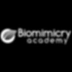 Biomimicry Academy
