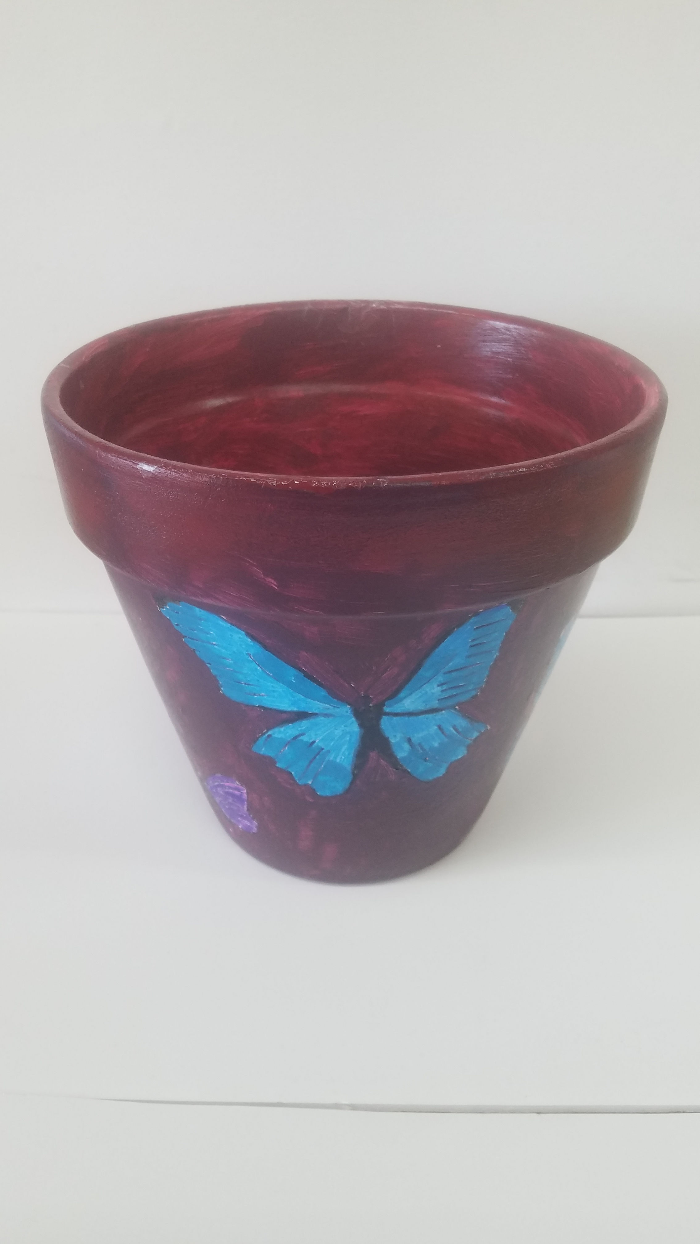 Butterflies are Free