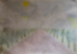 IMG_6901.jpeg