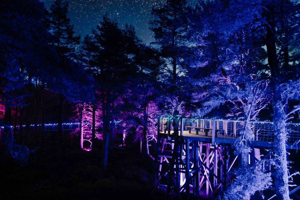 2013-12 Landmark Twi-Light -4