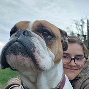 Dog walking
