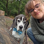Pet Sitter