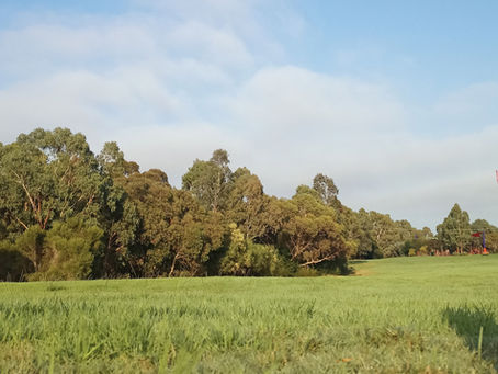 A History of Ashburton’s Green Spaces