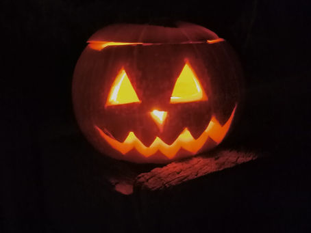 The Nine Rules of the Halloween Lolly Harvest … in Ashburton
