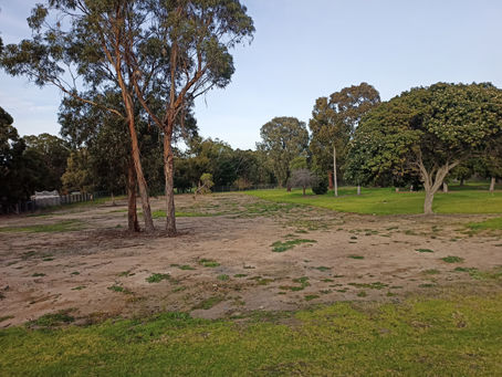 The Epic Battle over the Markham Reserve Re-development