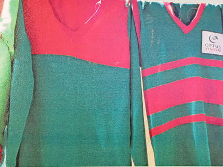 Its more than a game: a history of the Ashy Redbacks Junior Football Club