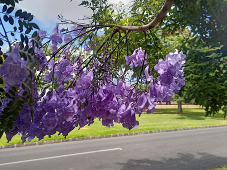 2024: Ashburton in Retrospect