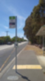 The Wattle Park tram stop today