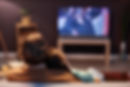 youngcouple_television.jpg